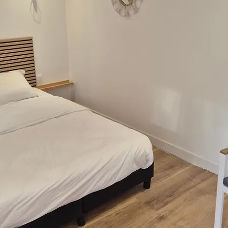 Charmants Proches Centre Ville, 2 Option , 1er 75m2 Avec Terrasse Privee Et 2eme 105m2 Rdc Avec Jardin Privatif , Parking Gratuit Dans Le Rue Apartman *