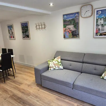 Apartman Charmants Proches Centre Ville, 2 Option , 1er 75m2 Avec Terrasse Privee Et 2eme 105m2 Rdc Avec Jardin Privatif , Parking Gratuit Dans Le Rue *