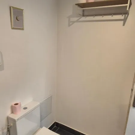 Charmants Proches Centre Ville, 2 Option , 1er 75m2 Avec Terrasse Privee Et 2eme 105m2 Rdc Avec Jardin Privatif , Parking Gratuit Dans Le Rue Apartman *