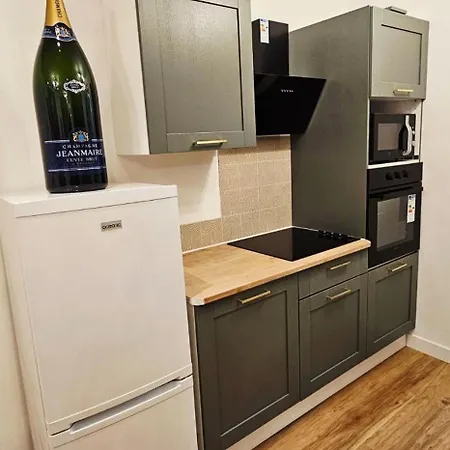 Charmants Proches Centre Ville, 2 Option , 1er 75m2 Avec Terrasse Privee Et 2eme 105m2 Rdc Avec Jardin Privatif , Parking Gratuit Dans Le Rue * إيبيرني