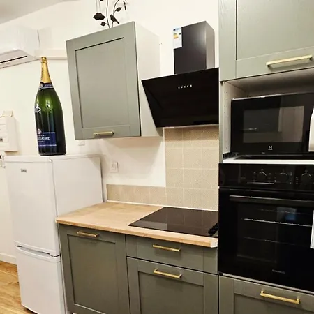شقة Charmants Proches Centre Ville, 2 Option , 1er 75m2 Avec Terrasse Privee Et 2eme 105m2 Rdc Avec Jardin Privatif , Parking Gratuit Dans Le Rue إيبيرني