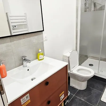 Charmants Proches Centre Ville, 2 Option , 1er 75m2 Avec Terrasse Privee Et 2eme 105m2 Rdc Avec Jardin Privatif , Parking Gratuit Dans Le Rue