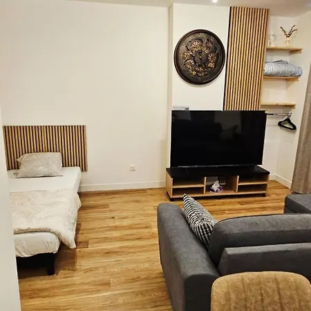 Charmants Proches Centre Ville, 2 Option , 1er 75m2 Avec Terrasse Privee Et 2eme 105m2 Rdc Avec Jardin Privatif , Parking Gratuit Dans Le Rue *